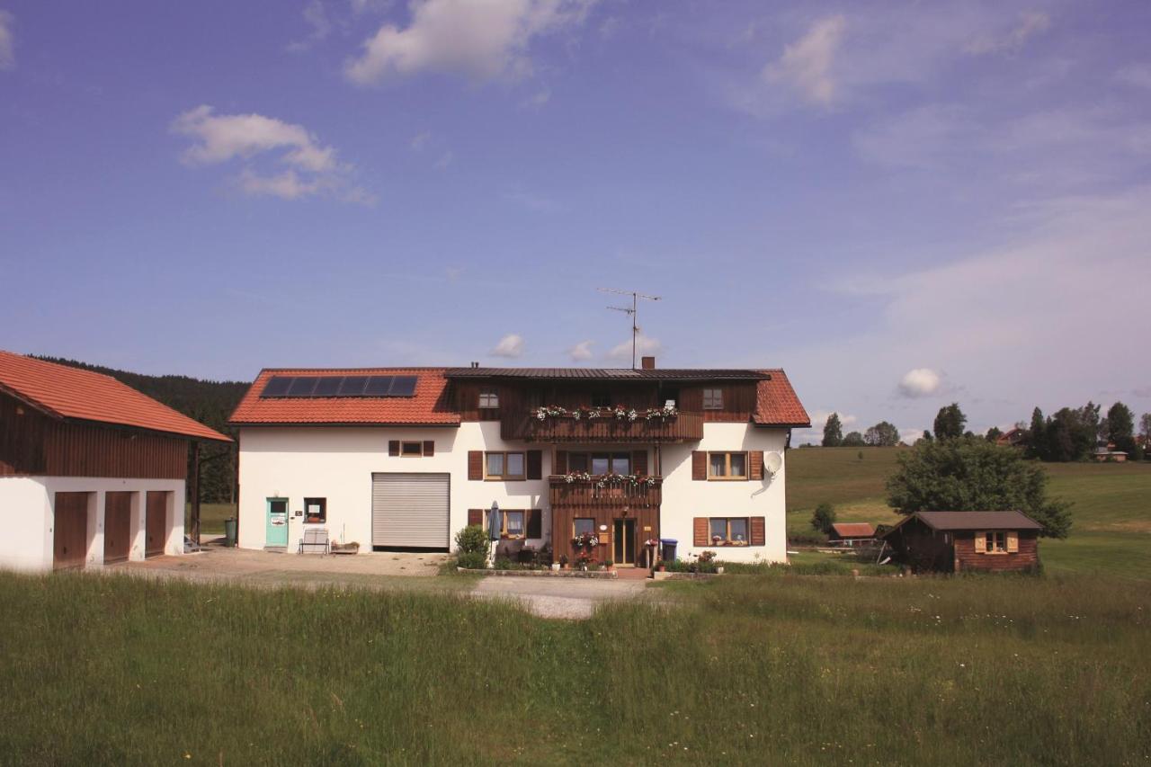 Haus Anny Apartment Haidmuhle Exterior photo